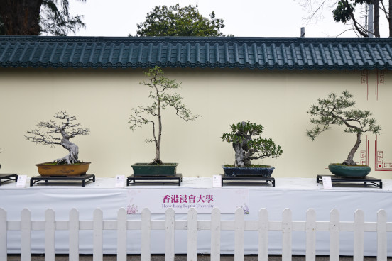 香港浸會大學