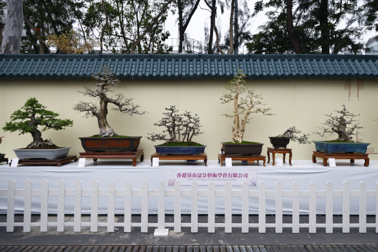 香港嶺南盆景藝術學會有限公司