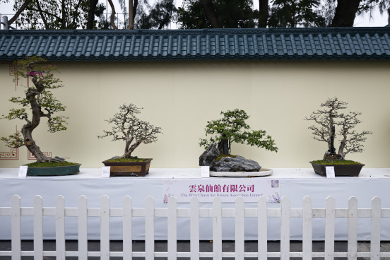 雲泉仙館有限公司