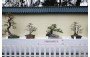 雲泉仙館有限公司