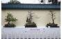 道教香港青松觀
