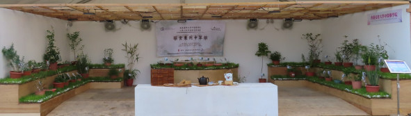 香港浸會大學中醫藥學院