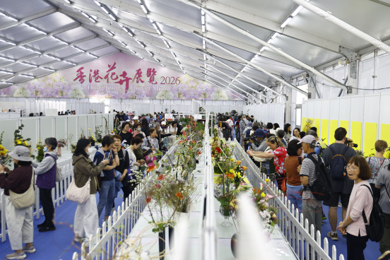 植物展品比賽