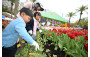 學童換花