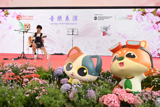 音樂及文娛表演
