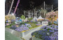 橫琴粵澳深度合作區城市規劃和建設局 <織夢琴嶼>