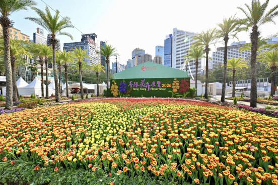 鬱金香花海