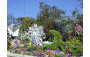 大埔區 <心願流轉>