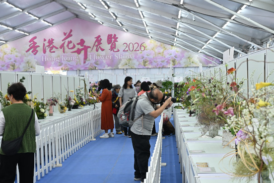 植物展品比賽