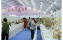 植物展品比賽