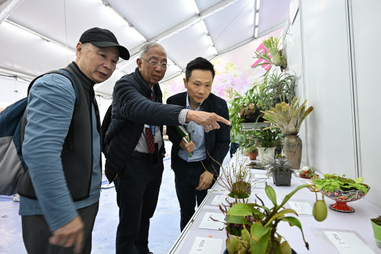 植物展品比賽