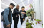 植物展品比賽