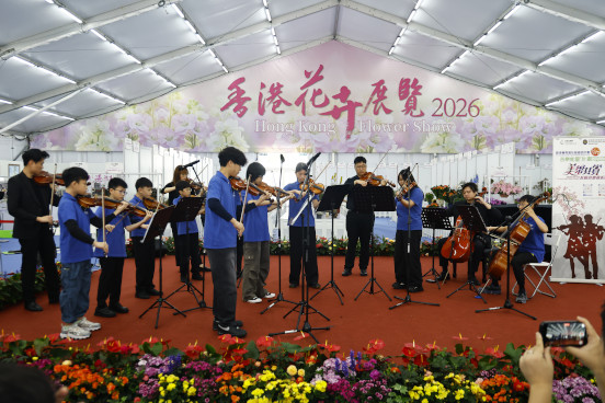 音樂表演