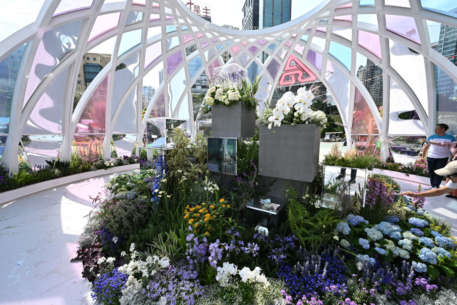 建築署 - 秋英之舞 &ndash; 花映萬家