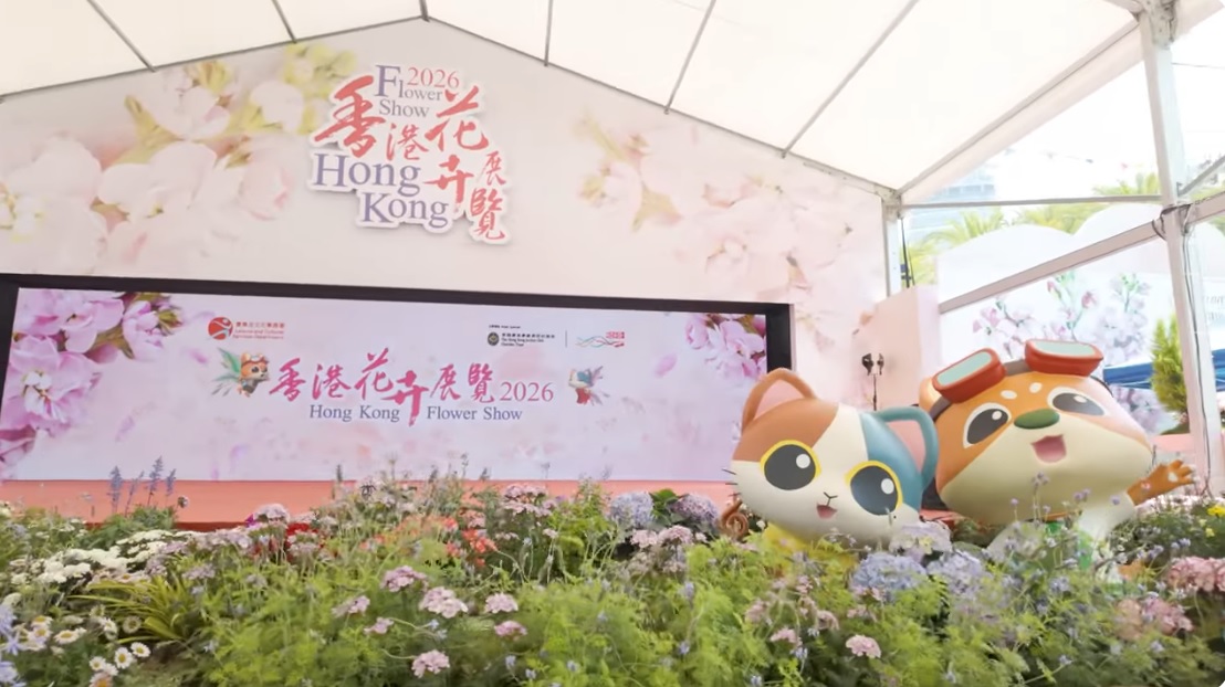 环保回收日精华片段