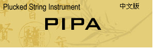 Plucked Strings Instrument -  Pipa