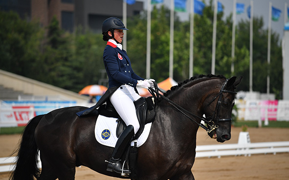 Equestrian Highlights (04-09-2017)