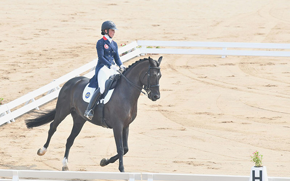 Equestrian Highlights (04-09-2017)