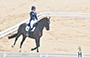 Equestrian Highlights (04-09-2017)