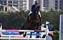 Equestrian (Jumping) Highlights (31-08-2017)