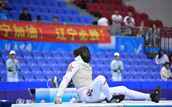 Fencing Highlights (29-08-2017)