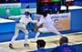 Fencing Highlights (30-08-2017)