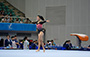 Gymnastics Highlights (01-09-2017)