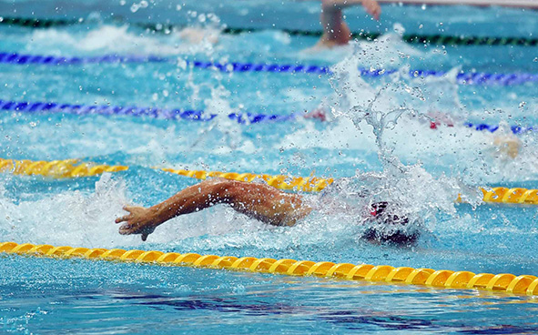 Swimming Highlights (03-09-2017)