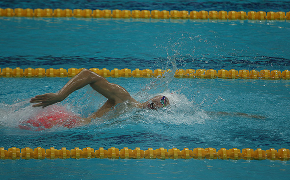 Swimming Highlights (31-08-2017)