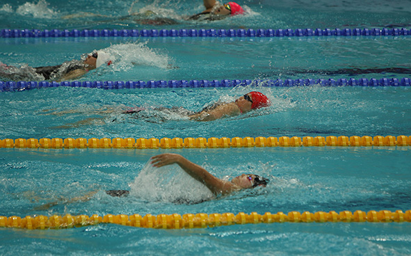 Swimming Highlights (31-08-2017)