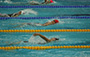 Swimming Highlights (31-08-2017)