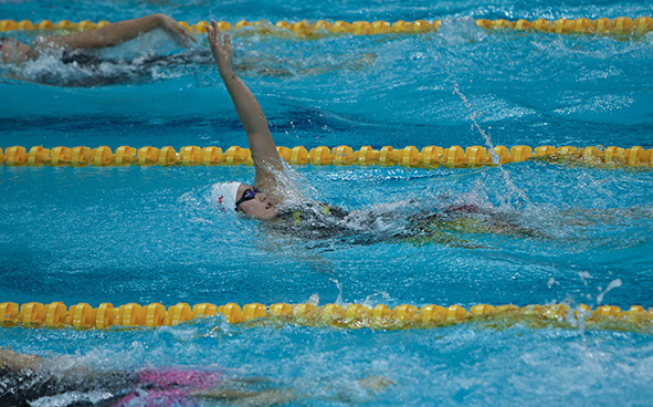 Swimming Highlights (31-08-2017)