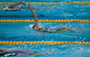 Swimming Highlights (31-08-2017)