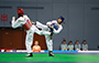 Taekwondo Highlights (05-09-2017)