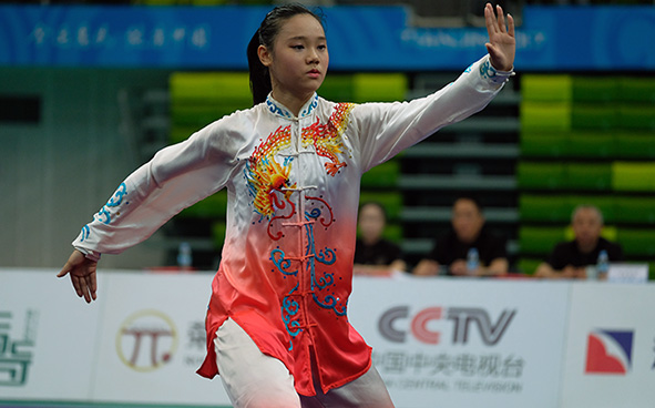 Wushu (Taolu) Highlights (28-08-2017)