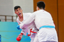 Karatedo Highlights