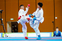 Karatedo Highlights