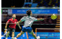 Badminton Highlights