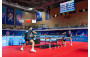 Table Tennis Highlights