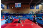 Table Tennis Highlights