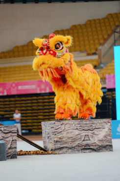 舞龍舞獅項目花絮