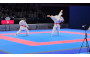 Karate Highlights
