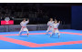 Karate Highlights