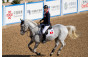 馬術項目花絮