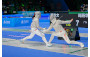 Fencing Highlights