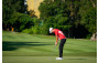 Golf Highlights