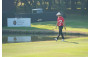 Golf Highlights