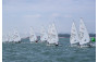Sailing Highlights