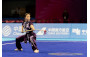 Wushu Highlights