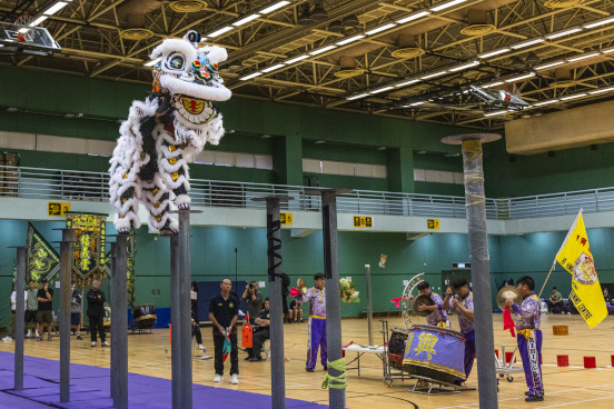 Dragon and Lion Dancing Highlights